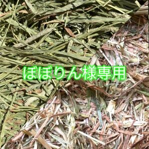 ぼぼりん様専用 チモシー スーパープレミアム 一番刈り &オーツ スーパープレミアム
