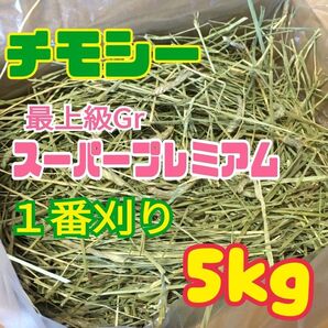 【最上級グレード】チモシー スーパープレミアム 一番刈り 5kg US産 R6年産