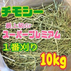【最上級グレード】チモシー スーパープレミアム 一番刈り 10kg US産 R6年産