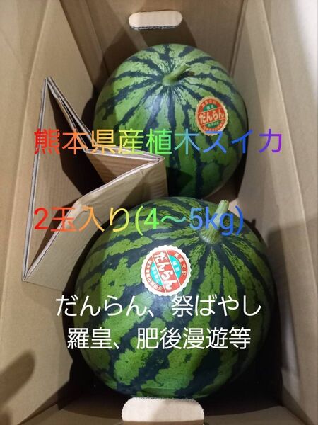 熊本県産 すいか