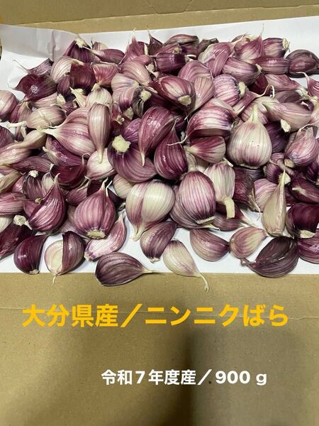 大分県産/ニンニク ばら 900g
