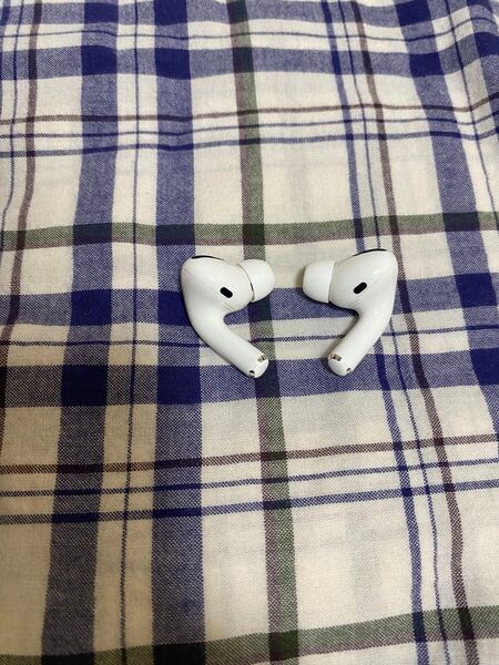 AirPods Pro(第1世代) 両耳