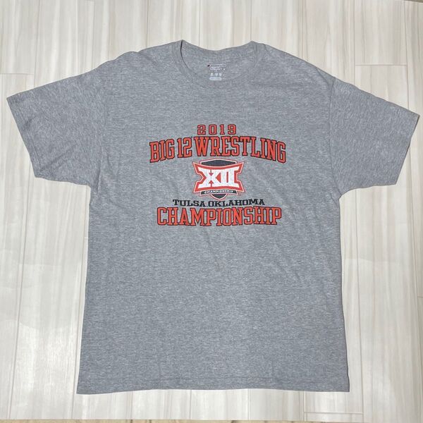 ChampionshipチャンピオンTシャツUSサイズL身幅約53、着丈約72、ユーズド品洗濯済みです。日本サイズXL。