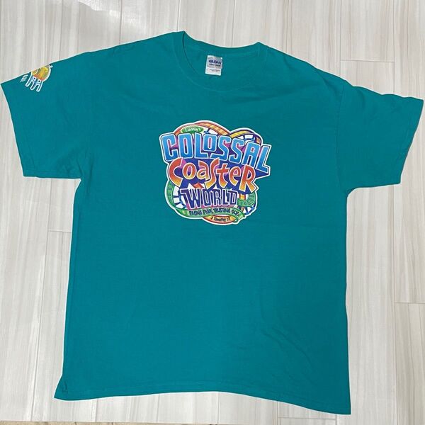 アメリカ直輸入両面プリントTシャツUSサイズL身幅約54、着丈約70ユーズド品洗濯済みです。プリント部分他全体的に綺麗です。