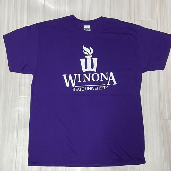 アメリカ直輸入ミネソタ州立大学TシャツUSサイズL身幅約54、着丈約72ユーズド品洗濯済みです。プリント部分他全体的に綺麗です。