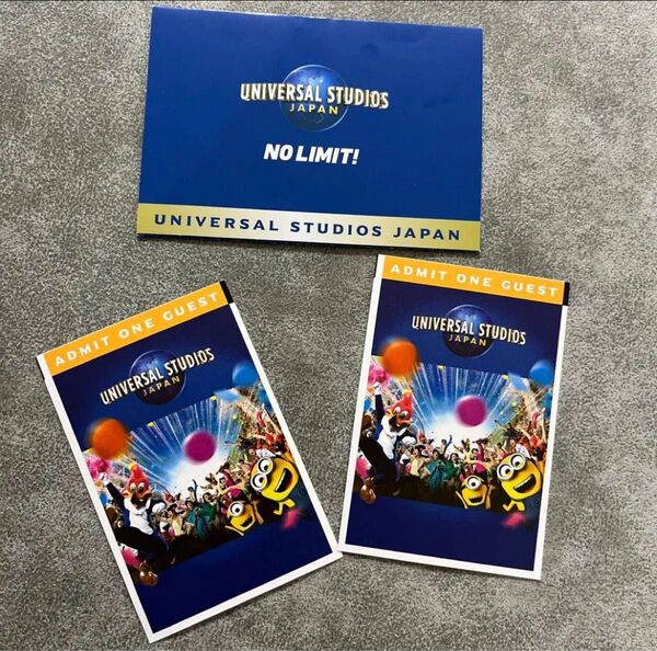 ユニバーサルスタジオジャパン USJ ペア チケット