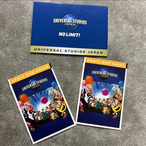 ユニバーサルスタジオジャパン usj チケット 未使用 2枚セット