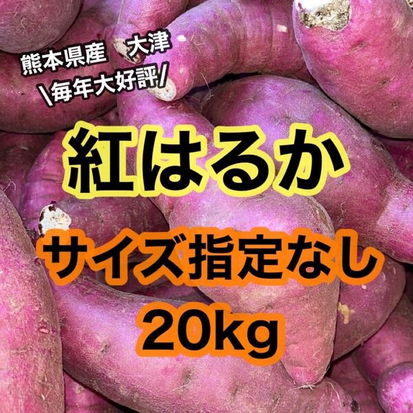 熊本県産 大津 べにはるか 紅はるか サイズ指定無し 20kg(送料無料)