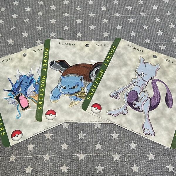 ポケモンBig刺繍ワッペン3点セット