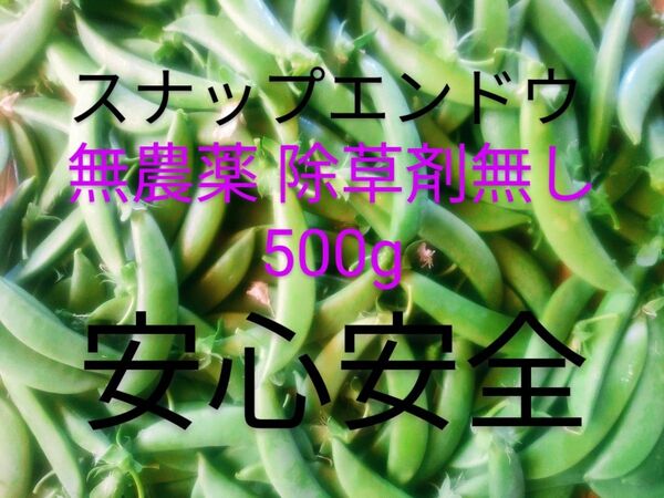 スナップエンドウ