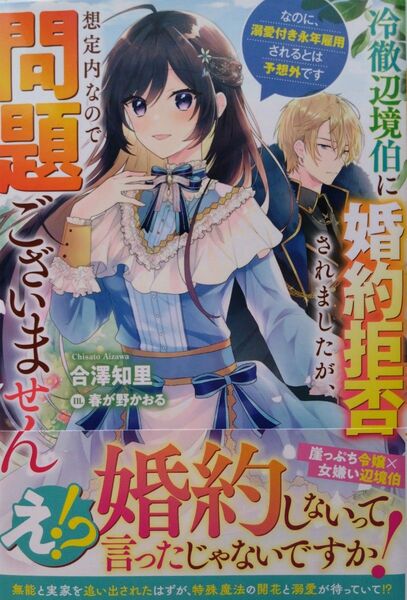 『冷徹辺境伯に婚約拒否されましたが、想定内なので問題ございません なのに、溺愛付き永年雇~』合澤知里/著 (ベリーズファンタジー)