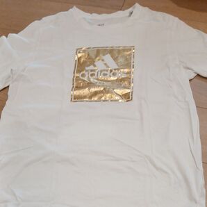 アディダス L位 Tシャツ