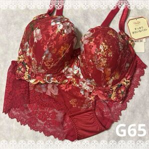 トリンプ プレミアム ブラジャー&ショーツ G65 新品 匿名配送