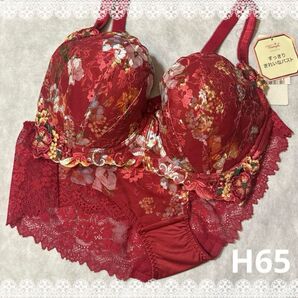 トリンプ プレミアム ブラジャー&ショーツ H65 新品 匿名配送