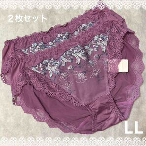 トリンプ レッドレーベル ショーツ LLサイズ 2枚セット 新品 匿名配送
