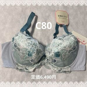 トリンプ 妖精のブラ C80 新品 匿名配送 グレー系