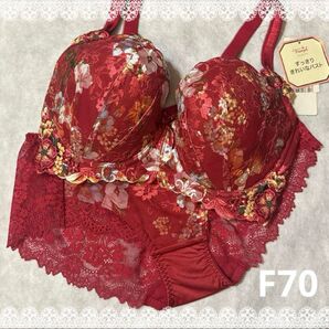 トリンプ プレミアム ブラジャー&ショーツ F70 新品 匿名配送