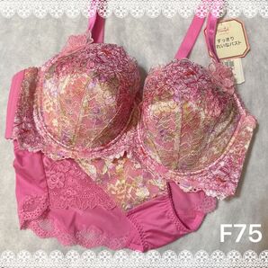 トリンプ プレミアム ブラジャー&ショーツ F75 新品 匿名配送 濃ピンク系