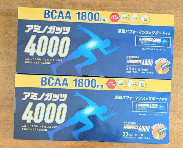 アミノガッツ4000 5g×30包×2箱
