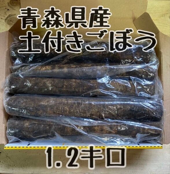 青森県産!土付きごぼう 1.2キロ