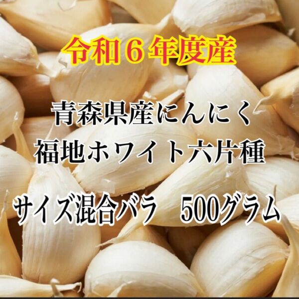 令和6年度産!!青森県産にんにく 福地ホワイト六片 サイズ混合バラ 500グラム