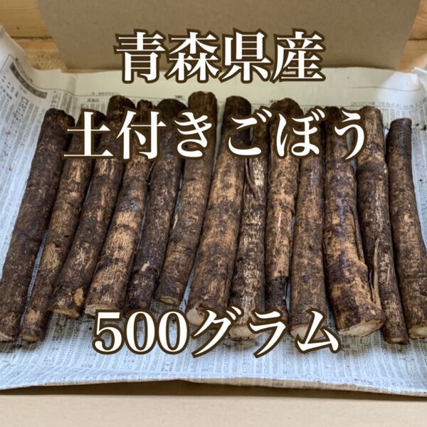 青森県産!土付きごぼう 500g