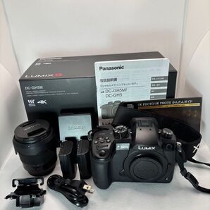 Panasonic DC-GH5M 12-60 レンズキット★元箱付き★ Panasonic