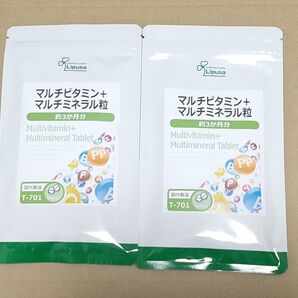 マルチビタミン+マルチミネラル粒 約6ヶ月分 リプサ サプリメント