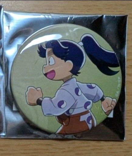 忍たま乱太郎 みんなで歩むの段 缶バッジ 浦風藤内