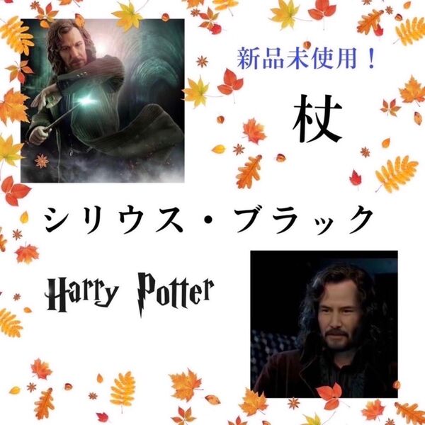 魔法の杖 USJ シリウス・ブラック ハリーポッター ハロウィン コスプレ