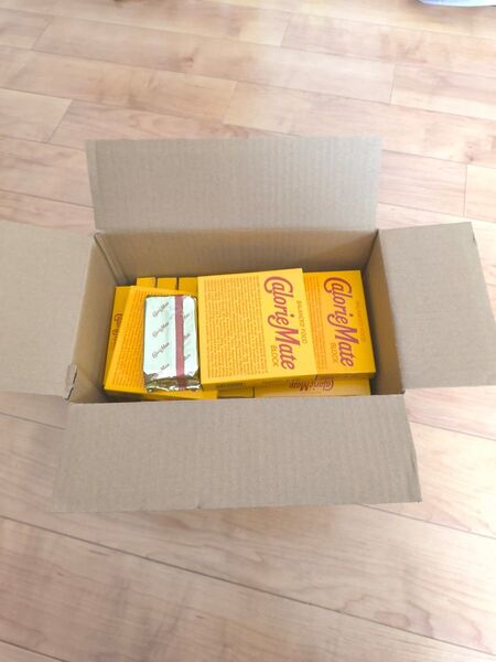 カロリーメイト チョコレート味のみ 19箱+1袋