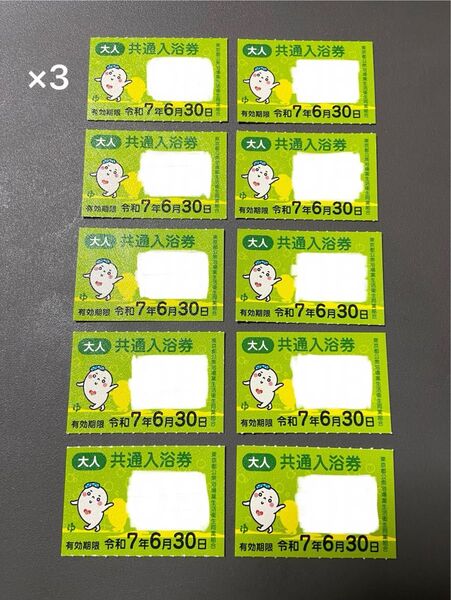 共通入浴券 銭湯 風呂 東京都公衆浴場業生活衛生同業組合 回数券 30枚