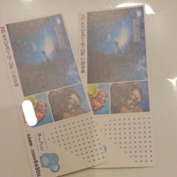 新江ノ島水族館 大人2名様 招待券