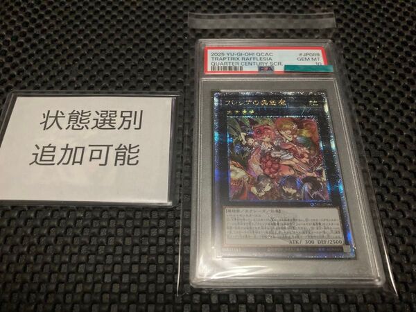 フレシアの蟲惑魔 25th クオシク アーコレ PSA10 遊戯王