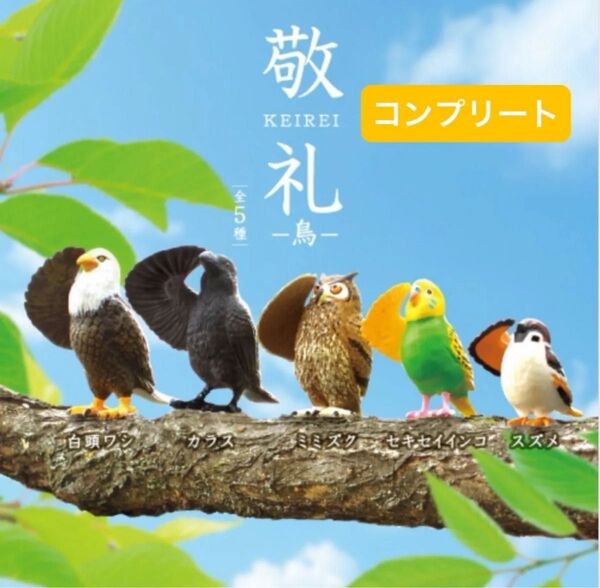 エール 敬礼 KEIREI 鳥 全5種 コンプリート カプセルコレクション 鳥ガチャ 鳥グッズ 鳥フィギュア Parakeet