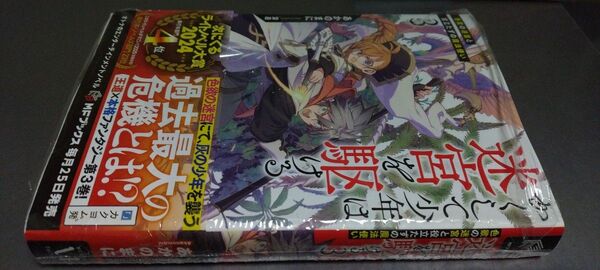 ノベル かくして少年は迷宮を駆ける 3巻(定価1760)MFブックス 2025.5.23