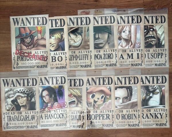 ワンピース 手配書 A4 クリアファイル 12枚