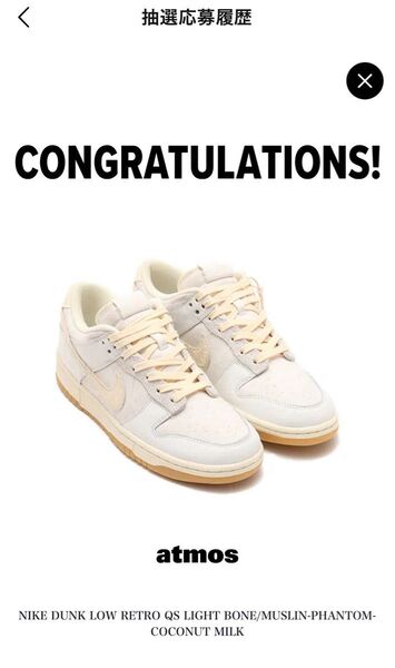 Nike Dunk Low Retro QS City Pack "Tokyo"