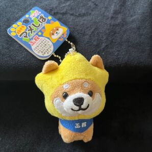 【激レア】旅するマメしば まめた 北海道 函館 五稜郭ぬいぐるみ キーチェーン