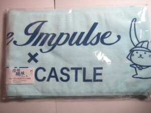  Hikone . castle fes* towel 