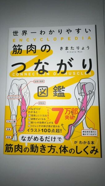 世界一わかりやすい筋肉のつながり図鑑 きまたりょう/著