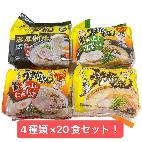うまかっちゃん インスタントラーメン 4種セット(各5食入り)全20食 ノーマル からし高菜 香ばしにんにく 濃厚新味 九州