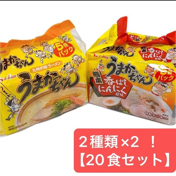 新品・未開封】うまかっちゃん ノーマル&香ばしにんにく風味 各5食×2 計20食セット 九州 ラーメン インスタント