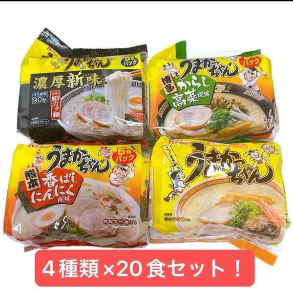 うまかっちゃん インスタントラーメン 4種セット(各5食入り)全20食 ノーマル からし高菜 香ばしにんにく 濃厚新味 九州
