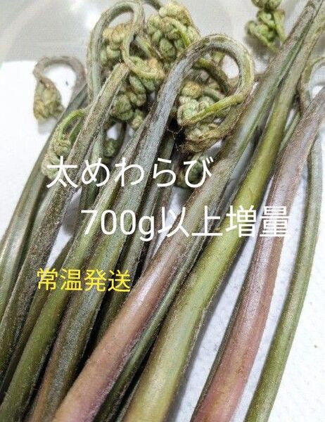 700g 天然わらび 山わらび 生わらび 山菜 わらび