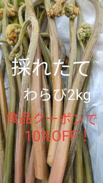 2kg 天然わらび 山わらび 生わらび 山菜 わらび 2キロ
