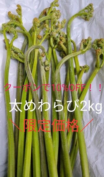 【箱別2kg】 天然わらび 山わらび 生わらび 山菜 わらび 2キロ 紫わらび ねばり 太め