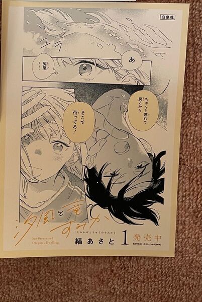 汐風と竜のすみか 販促用POP 縞あさと 非売品レア 書店用 入手困難