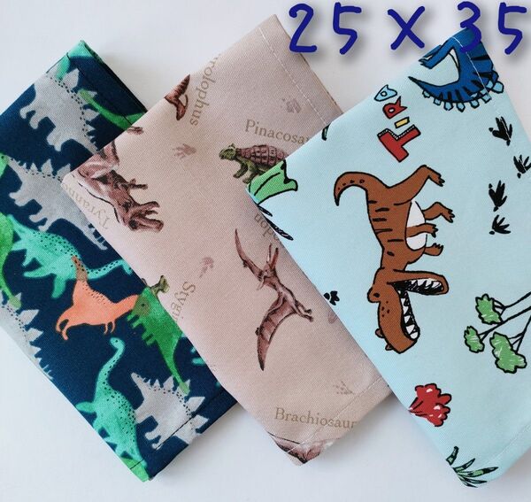 ランチョンマット25×35男の子 3枚セット 恐竜 ダイナソー ランチマット