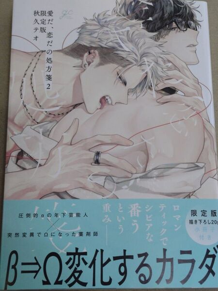 愛だ、恋だの処方箋 2( 限定版 の書籍のみ)